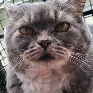 Meet your Posher, Krista